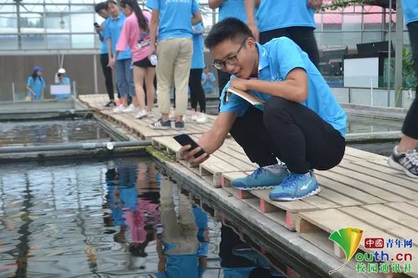 河南大学生走进红色裴寨社区 感受改革开放40