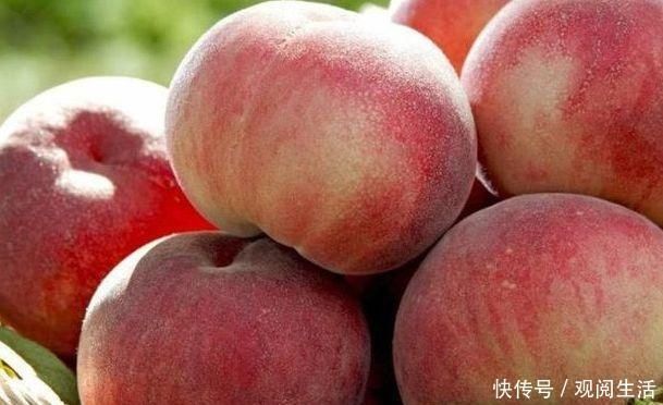 桃子不能和什么一起吃?有几种东西切记不能桃