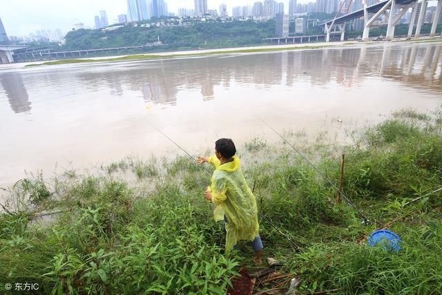夏季野钓鲤鱼如何调漂抓口?老钓友经验之谈了