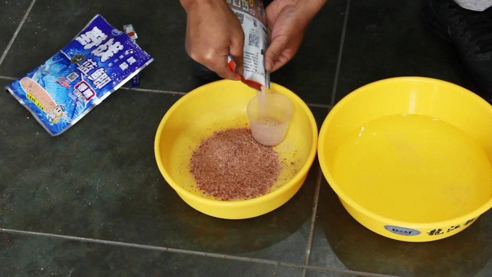 钓鲫鱼用什么饵最最好?只需这2款常见饵互搭