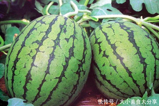 秋瓷炫吃个西瓜就上了日本头条?看完韩国水果