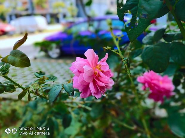 你以为vivo NEX只是骁龙845那么简单?用了才