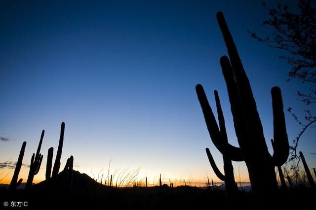人性的弱点最经典的20句话,句句精辟,句句富有