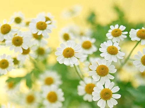 短而有感的好句,最新个性签名