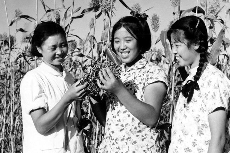 很快，大辫子被剪短，成为短辫子，或者干脆剪成干净利落的短发。女人们像男人一样学习、工作、劳动，性别被逐渐淡化。图为20世纪60年代初，昌黎县“三兰”青年突击队长王汝兰（左）、汉沽市“铁姑娘”突击队长张秀敏（右）来同邢燕子（中）交流工作经验。