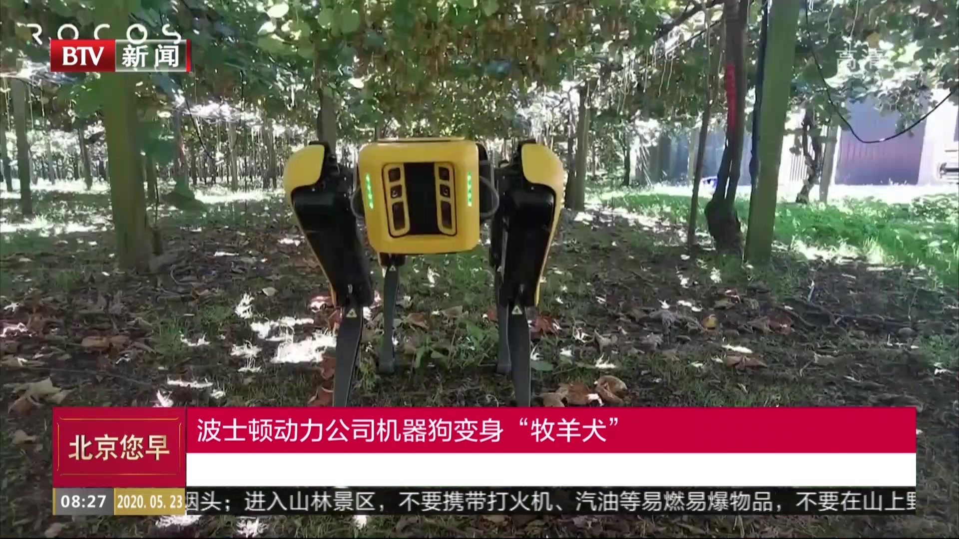 波士顿动力公司机器狗变身“牧羊犬”