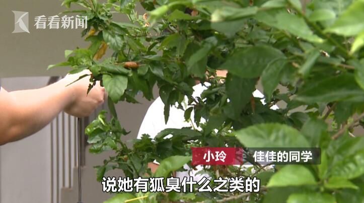 另外在女儿坠楼后，陈女士打听到，这几张所谓的“遗书”在女儿坠楼之前就已经被宿舍管理员和同学发现了，但学校并没有及时告知家长。陈女士认为，这和女儿发生意外有很大关系。不幸的事还是发生了，8月10日早上7点左右，佳佳从学校女士宿舍C楼6楼坠楼。

在北海市第七中学，记者见到学校一位姓周的副校长，她对佳佳发生这样的意外表示难过，但是并不赞同陈女士所说的学校提前发现“遗书”的说法。

北海市第七中学副校长周坚：“这确确实实是在事发后，我们同学在她的桌上发现的，然后再由她们班的一个班长，交到老师手里的。”