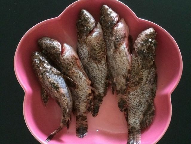 这3种鱼最好别吃,中毒了后悔来不及