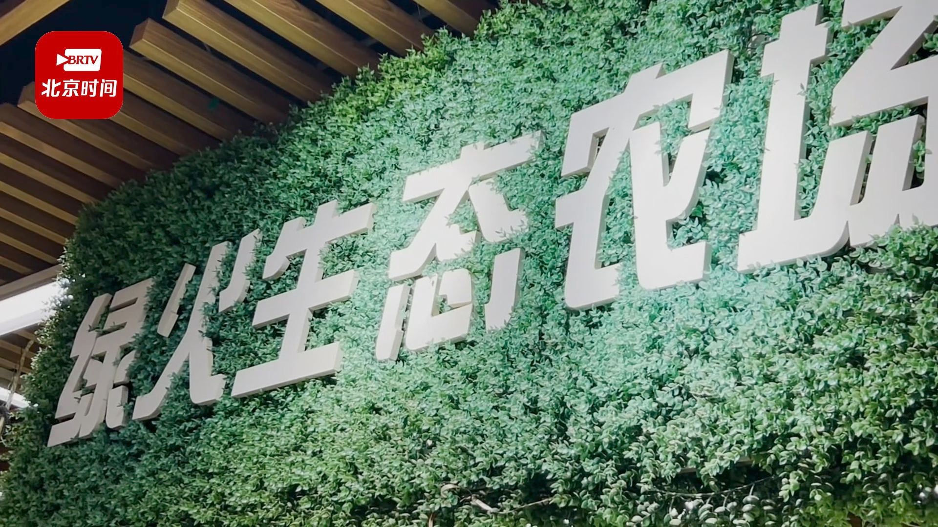 在这能买到现采现吃的“活体蔬菜”! 在这能买到现采现吃的“活体蔬菜”!