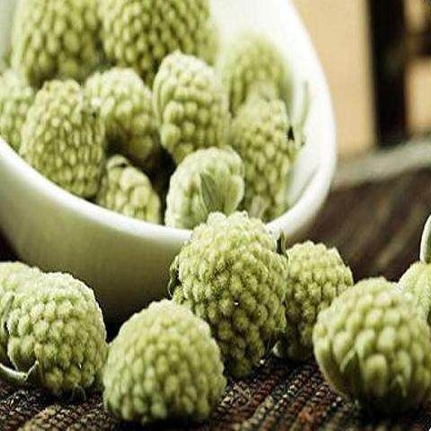 因此,喝绿萝花茶能有很好的降血糖的效果