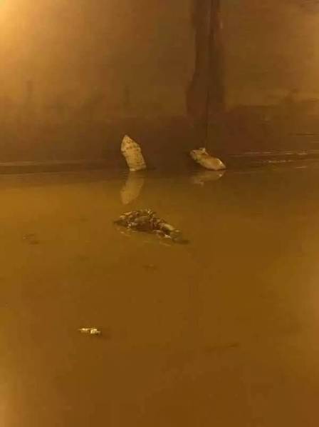这个无名涵洞通往贵昆路,路烂了十多年,修修补补,每次下雨都会淹水,但也电动车能骑过去。陈开玉发现这一次积水特别厉害,根本过不去了,“积水已经比成年人高多了,距离洞顶就不到一米的距离。”这个无名涵洞标高4.5米,按当事人的描述来推算,当时涵洞积水可能在2-3米左右。