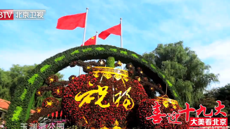 喜迎十九大：盛开的北京情更深