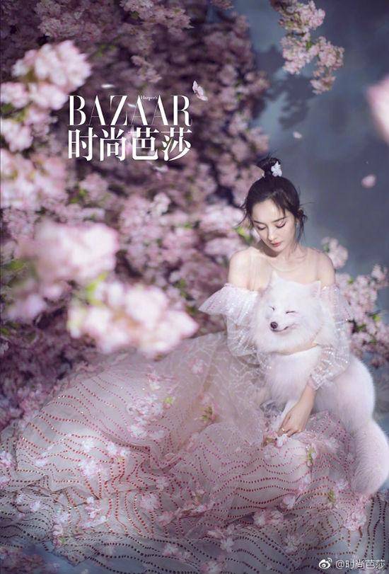 杨幂生日时尚芭莎写真全套高清图 抱白狐置身花海仙气十足 杨幂生日时尚芭莎写真全套高清图 抱白狐置身花海仙气十足