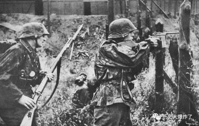 二战德军三大精锐:帝国师、骷髅师、维京师,谁