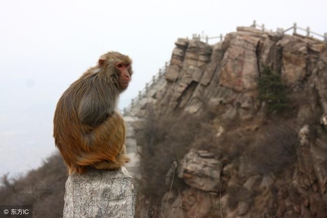 江苏规划中的一座新国际机场,未来将辐射带动