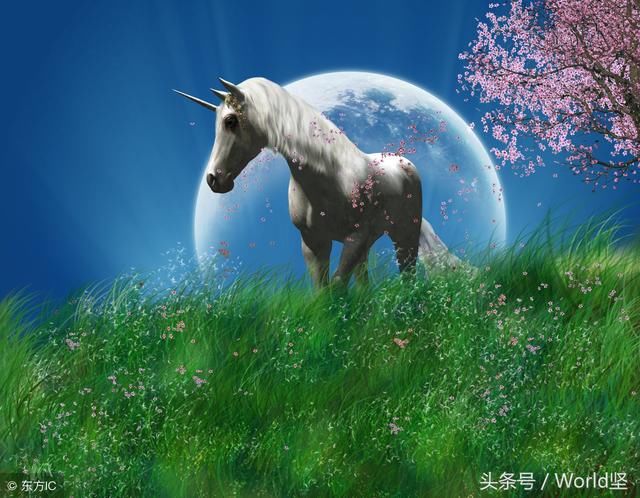 为什么我不打算参与这次独角兽战略基金的申购