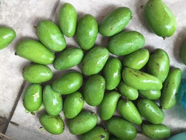 青芒果加盐加辣椒,腌芒果,这种做法你吃过吗?