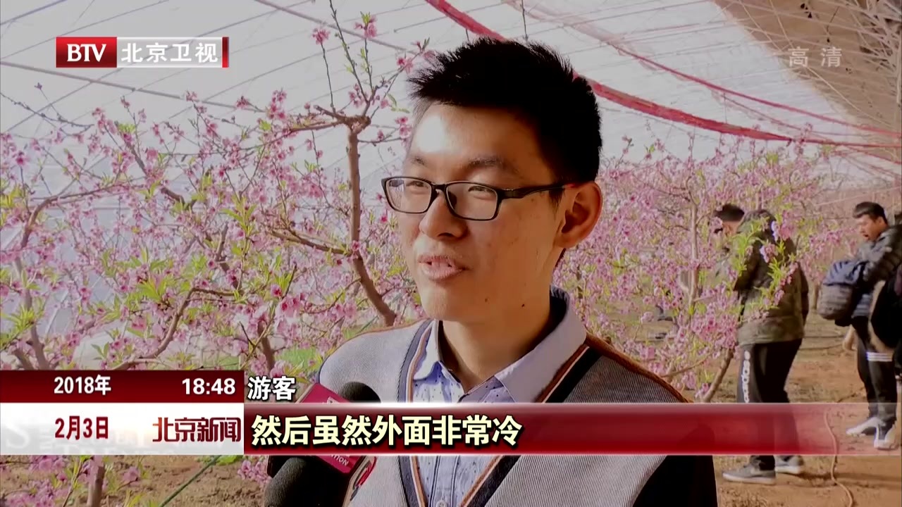 温室大棚春意浓  桃花杏花朵朵开