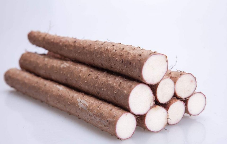 简单实用的中药补肾小偏方:补肾壮骨,3天恢复