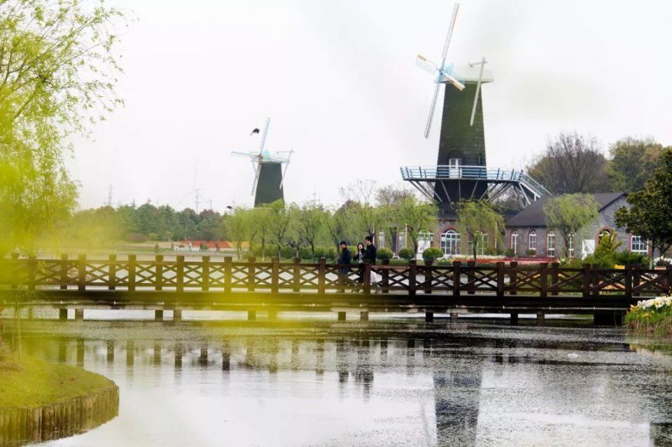 2018魔都最美赏花季已到!樱花节 桃花节 郁金