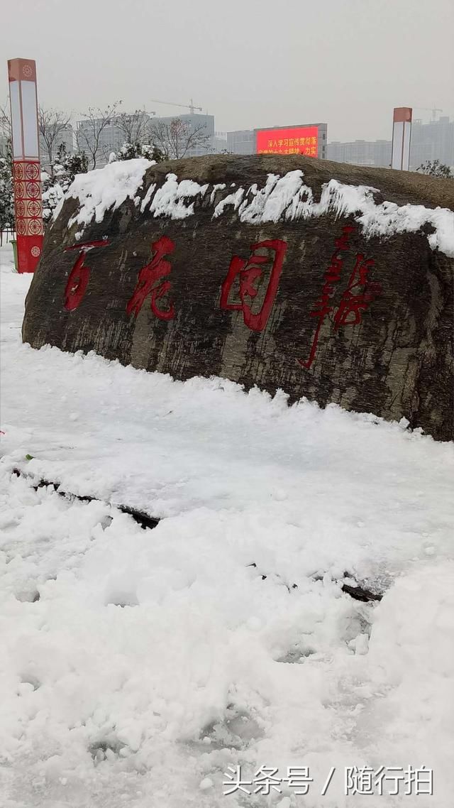 随行拍:雪后信阳百花园一日游