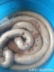 名小吃猪血肠制作方法