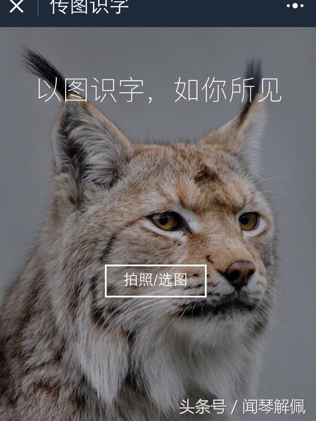 微信小程序传图识字功能帮你解决图片转化为文