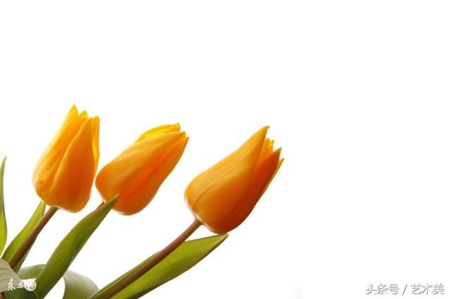 泡脚能去湿气吗?什么时候泡脚去湿气?正确泡