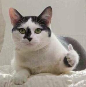 相亲女列结婚清单:男方提供房和车+20万彩礼