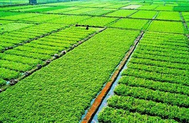 征收基本农田的补偿标准?被拆迁人如何审查征