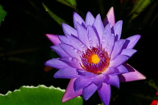 为何老实人总受欺负?领导的这四个考虑很现实