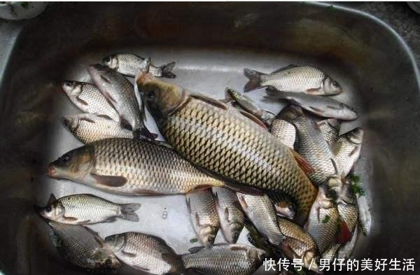 老渔翁分享一款夏季野河钓鱼饵料配方 专钓大