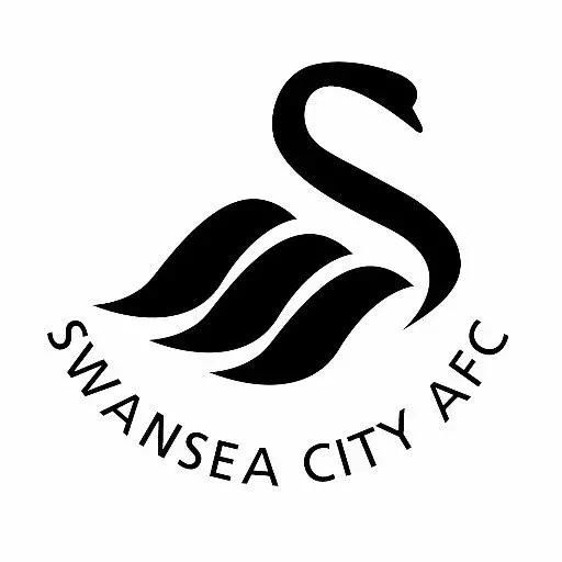 海鸥老鹰天鹅,英格兰俱乐部为什么都喜欢用鸟