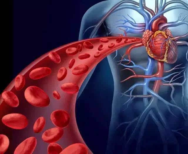 《全民健康学院》血管健康保卫战——血管与营养