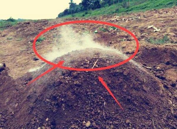 七月十五上坟,如果祖坟有以下4种现象,家中将