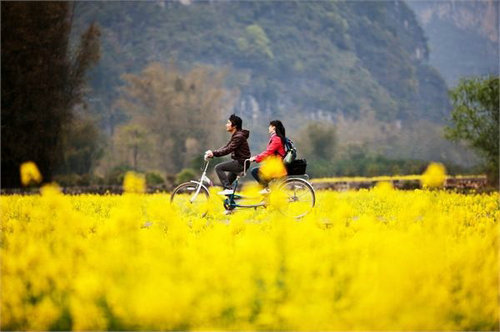 清明节有哪些传统习俗 清明节传统习俗盘点 清明节有哪些传统习俗 清明节传统习俗盘点