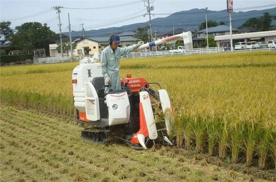 日本水稻的插秧与收割机械化程度为99,谷物干燥机械化程度为98,相当