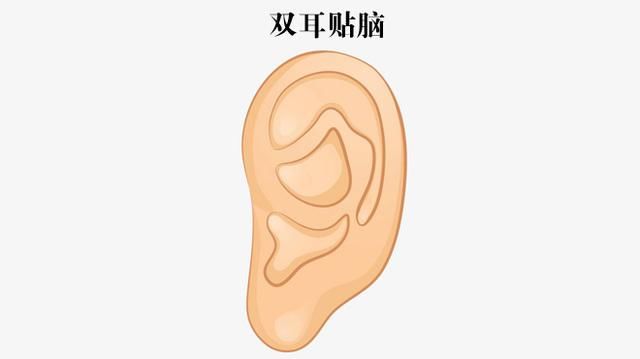 什么面相的女人是当官的料 领导能力特别强