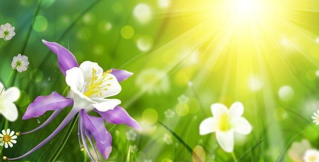 非常经典的句子:做人,别精得过火,也别傻得可怜