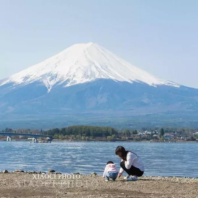 日本富士山|樱花季美哭了,旅行全攻略收藏起来