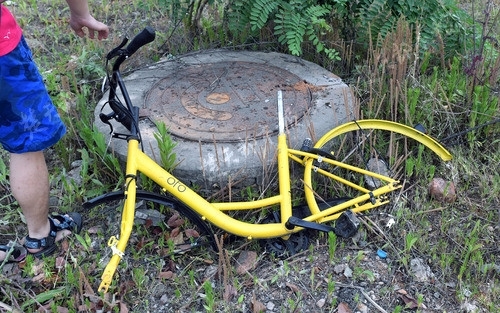 共享单车 ofo单车