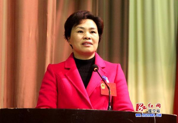 绥宁县第十七届人民代表大会第二次会议开幕