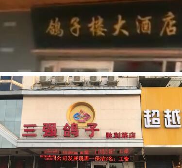 暗访河南濮阳鸽子楼一原料屠宰场