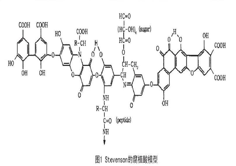 黄腐酸分子结构图片