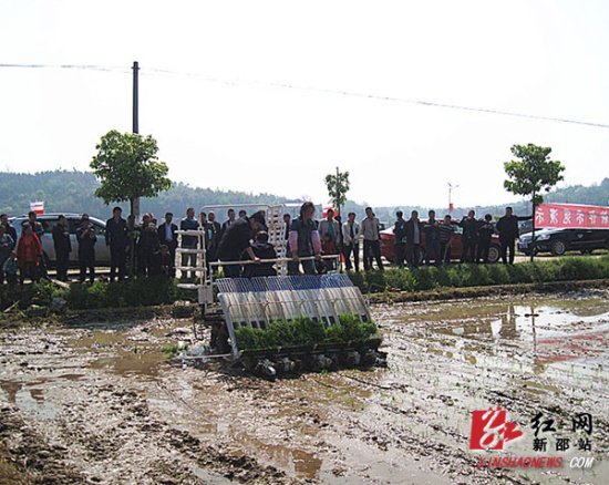 新邵农村春耕新事多(组图) 新邵农村春耕新事多(组图)