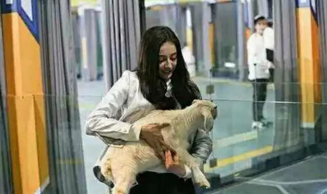 鹿晗唱罢便见张艺兴杨洋登台,迪丽热巴有多招