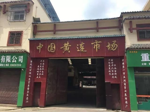 跑合网走进四川、重庆,考察当地中药材市场