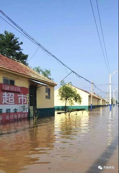 直击洪水过后的山东寿光