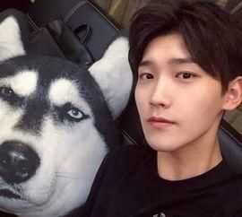 河南籍的明星都有哪些?一个嫁给陈冠希,一个踏