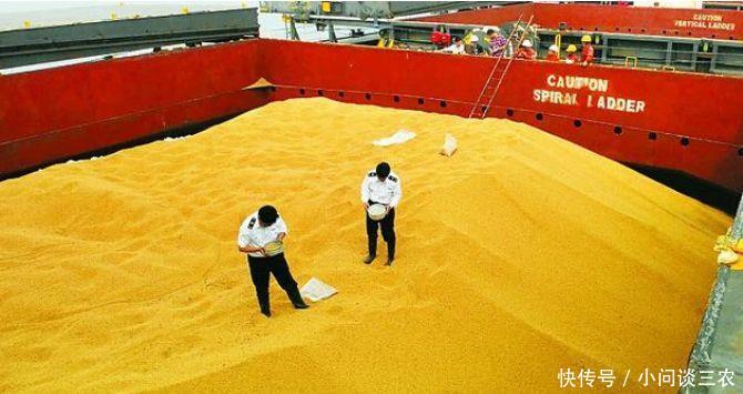为什么中国不买美国大豆后,美国大豆出口不降